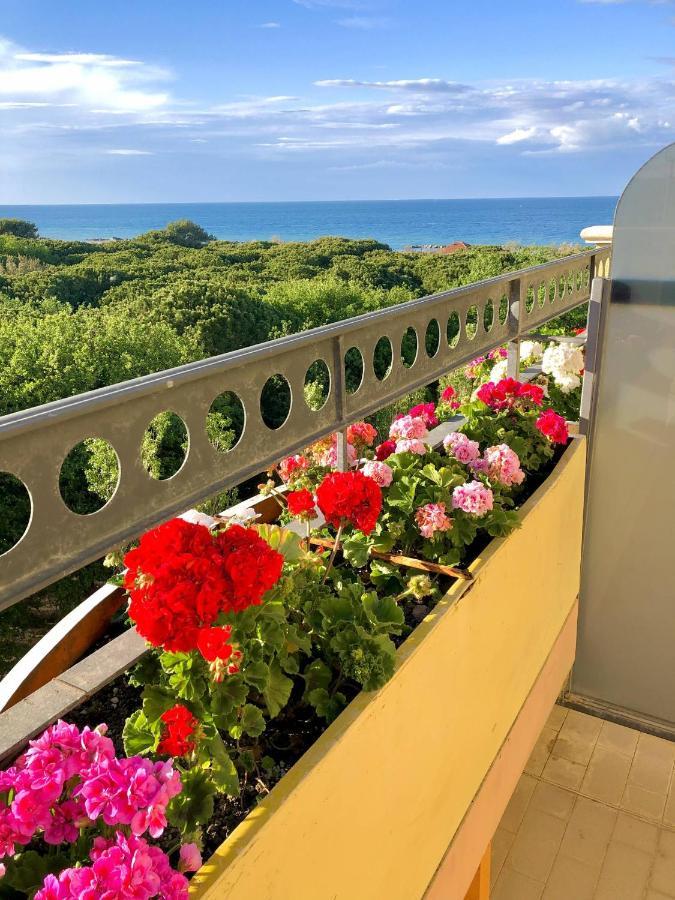 Hotel Caravel B&B Misano Adriatico Eksteriør billede